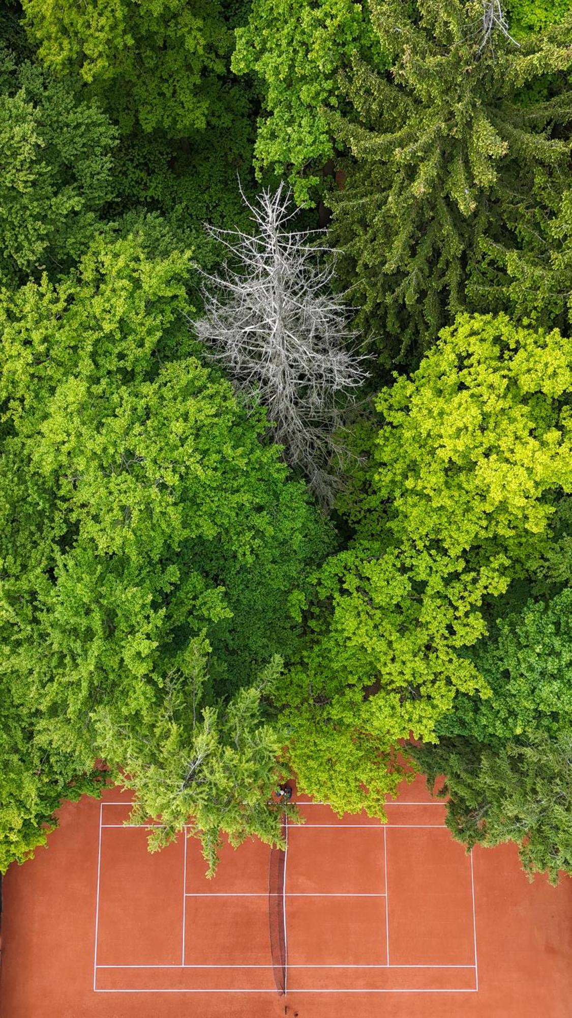 Apartamenty Lemon Pepper Jelení Hora Exteriér fotografie